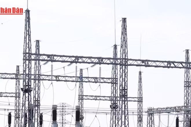 [Video] Cần Thơ sẽ tiếp thêm 271 triệu kWh điện xanh mỗi năm cho đất nước 