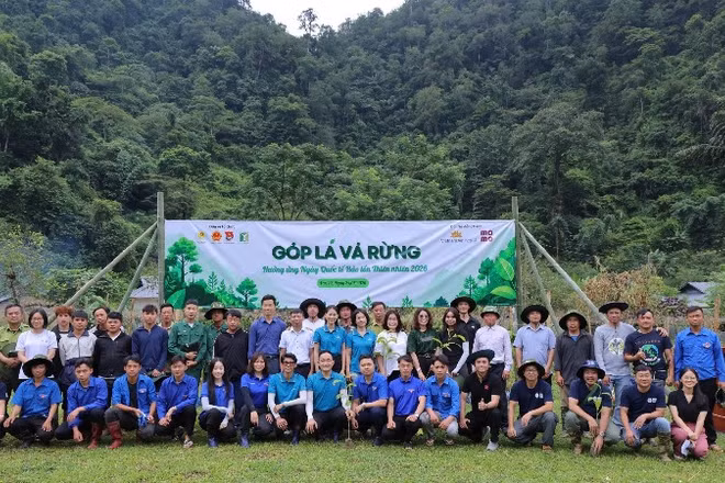Chương trình “Góp lá vá rừng 2026” hướng tới phục hồi 72ha rừng tự nhiên. (Ảnh: THẾ CƯỜNG)