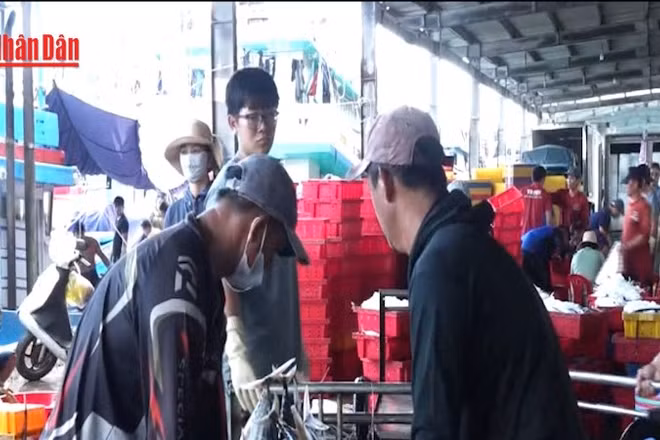[Video] Ngư dân Khánh Hòa nâng cao ý thức chống khai thác IUU