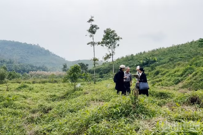 Nhiều cá nhân, tổ chức có diện tích đất nằm trong diện quy hoạch của Vườn quốc gia Ba Vì nhưng hơn 20 năm vẫn chưa nhận được thông báo thu hồi đất cũng như đền bù, hỗ trợ theo quy định.