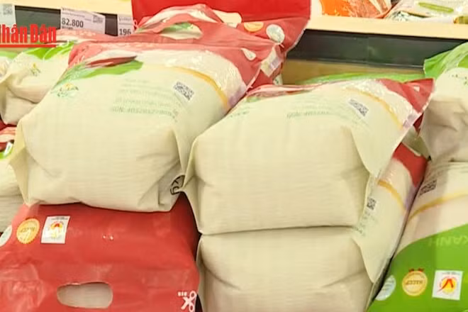 [Video] Ứng phó mưa lũ tại Trung Bộ, khôi phục điện và ổn định hàng hóa