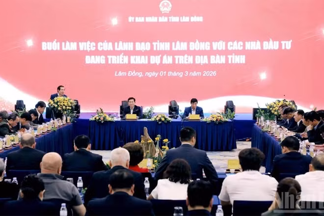 Quang cảnh buổi làm việc.