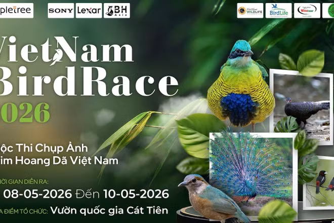 Đây là lần thứ ba cuộc thi nhiếp ảnh chim hoang dã lớn nhất Việt Nam được tổ chức. (Ảnh: BTC)