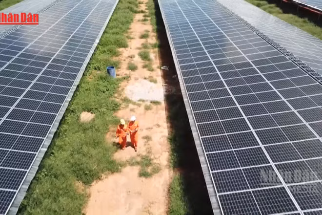 [Video] Doanh nghiệp Việt trong làn sóng đầu tư năng lượng tái tạo 