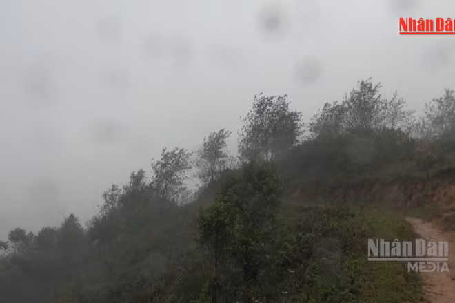 [Video] Không khí lạnh tràn về miền Bắc, Hà Nội trời chuyển lạnh