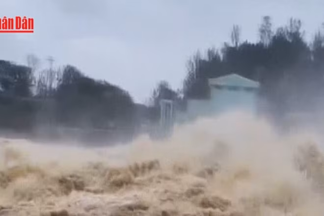 [Video] Lũ trên các sông tại Quảng Ngãi đang lên 
