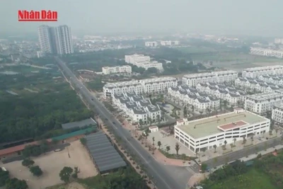 [Video] Tăng phân cấp, phân quyền trong hoạt động quy hoạch