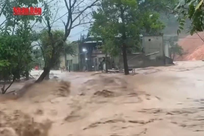 [Video] Cảnh báo lũ quét, sạt lở đất do mưa lớn ở 5 tỉnh phía Bắc