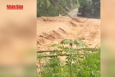 [Video] Lũ trên các sông ở Bắc Bộ, Thanh Hóa ở mức cao