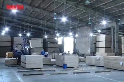 [Video] Năm 2025: Xuất khẩu nông, lâm, thủy sản phấn đấu đạt trên 65 tỷ USD