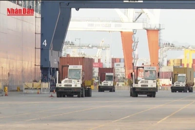 [Video] Xuất nhập khẩu tiếp tục là điểm sáng của nền kinh tế Việt Nam