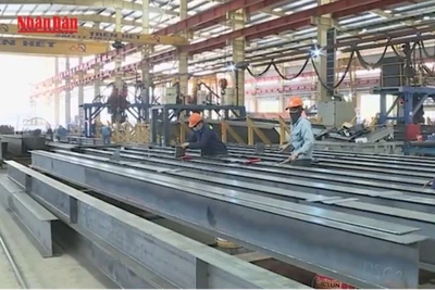 [Video] Vốn đầu tư trực tiếp nước ngoài vào Việt Nam tiếp tục tăng trưởng mạnh