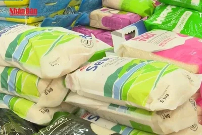 [Video] Chủ động bảo đảm nguồn cung hàng hóa thiết yếu ứng phó bão số 3