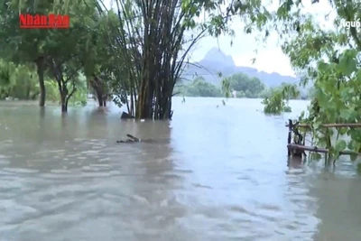 [Video] Cảnh giác với những bệnh dịch thường gặp trong mùa mưa bão, lũ lụt