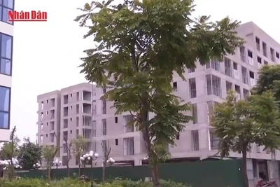 [Video] Chính phủ ban hành Nghị định mới thúc đẩy phát triển nhà ở xã hội 