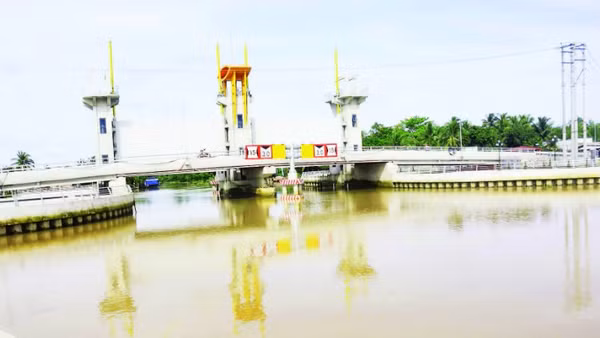 Hệ thống thủy lợi giúp ngăn mặn, trữ ngọt cho vùng trọng điểm sản xuất cây giống, cây ăn quả tại tỉnh Vĩnh Long. 