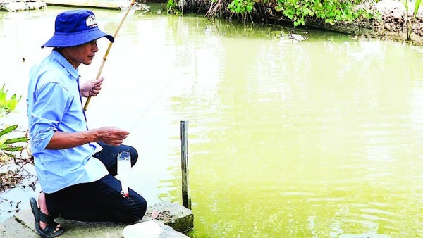 Thả chai nhựa xuống nước, người câu chỉ cần ngồi thong thả quan sát. Khi thấy dây cước căng hoặc chai rung bần bật là biết cá đã vào bẫy.