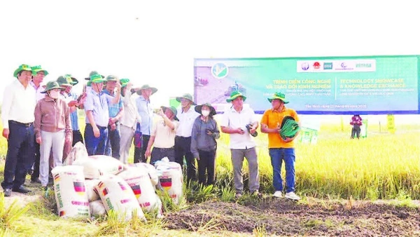 Đại diện các địa phương tham gia đề án như: Tây Ninh, An Giang, Cà Mau, Cần Thơ và Đồng Tháp tham dự chương trình trình diễn.