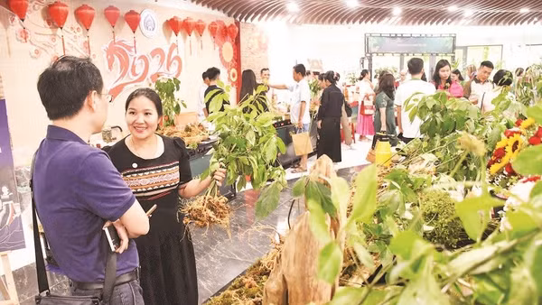 Người dân, du khách tham quan, mua sắm tại Lễ hội Sâm Ngọc Linh và Dược liệu quốc tế Đà Nẵng 2026.