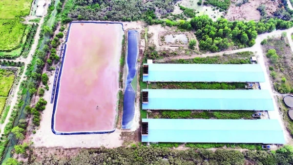 Trang trại nuôi heo gia công công nghiệp kín lạnh nhìn từ trên cao.