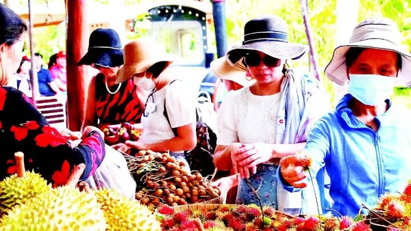 Khách du lịch mua trái cây tại Cần Thơ.