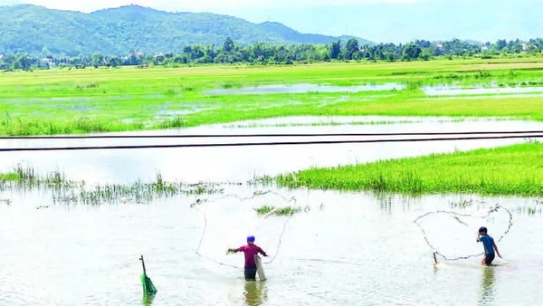 Mùa nước nổi, các ruộng lúa chung quanh hồ ngập nước, cũng là mùa cá ở đây nên nhiều cư dân địa phương hành nghề đánh bắt cá để kiếm sống.