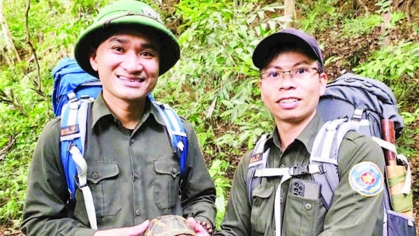 Cán bộ Ban Quản lý rừng đặc dụng nam Quảng Trị phát hiện cá thể rùa hộp trán vàng miền trung.