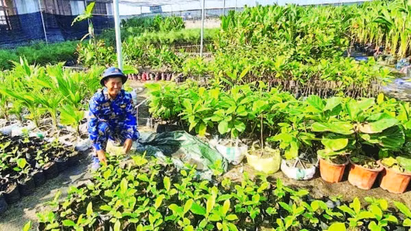 Những mầm non trên đất khát.