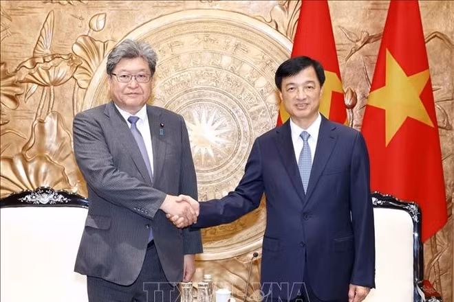 Trưởng Ban Tổ chức Trung ương Nguyễn Duy Ngọc tiếp Quyền Tổng Thư ký Đảng Dân chủ Tự do Nhật Bản (LDP) Hagiuda Koichi. (Ảnh: TTXVN)