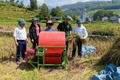 Cán bộ biên phòng tăng cường cùng lãnh đạo xã Bạch Đích, Yên Minh, Hà Giang kiểm tra đánh giá sản lượng năng suất lúa vụ mùa.