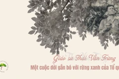 Giáo sư Thái Văn Trừng - Một cuộc đời gắn bó với rừng xanh Tổ quốc