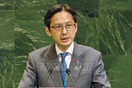 Đại sứ Đỗ Hùng Việt, Trưởng Phái đoàn thường trực Việt Nam tại Liên hợp quốc, phát biểu tại phiên toàn thể. (Ảnh: TTXVN)