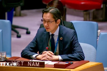 Đại sứ Đỗ Hùng Việt phát biểu tại phiên thảo luận của Hội đồng Bảo an Liên hợp quốc. (Ảnh: TTXVN)