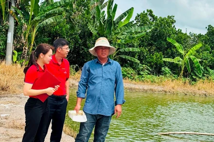 Anh Huỳnh Tấn Đạt, ấp 2T, xã Bình Hàng Trung, tỉnh Đồng Tháp (đầu tiên bên phải) có thu nhập ổn định nhờ vay vốn nuôi cá tra giống. (Ảnh HỮU NGHĨA)