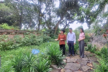 Giới thiệu vườn cây thuốc nam trong khuôn viên Đền Thánh Nguyễn ở xã Tiến Thắng, huyện Gia Viễn (Ninh Bình).