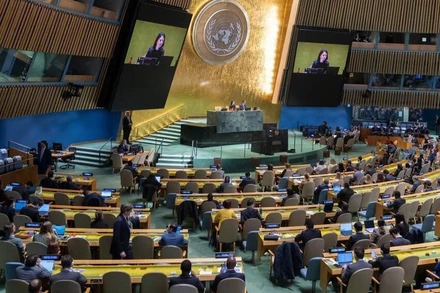 Việt Nam được bầu làm thành viên Hội đồng Nhân quyền Liên hợp quốc nhiệm kỳ 2026-2028. (Ảnh UN)