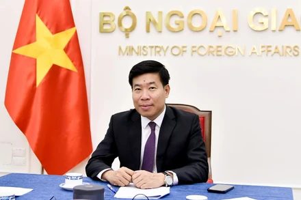 Ủy viên Trung ương Đảng, Thứ trưởng Ngoại giao Nguyễn Mạnh Cường. (Ảnh; Bộ Ngoại giao)