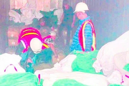 Cơ quan hải quan kiểm tra container chứa chân gà đông lạnh của Công ty TNHH Xuất nhập khẩu Việt Nam.