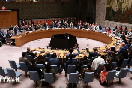 Toàn cảnh một phiên họp Hội đồng Bảo an Liên hợp quốc ở New York, Mỹ. (Ảnh: Tân hoa xã/TTXVN)