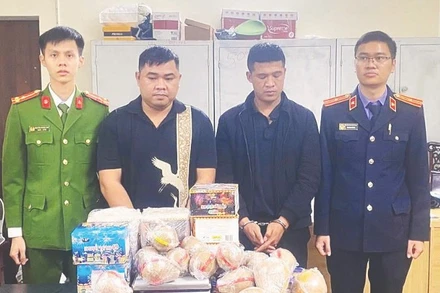 Các đối tượng bị bắt giữ trong đường dây mua bán thuốc pháo và tiền chất sản xuất thuốc pháo tại các tỉnh, thành phố trên cả nước do đối tượng Nguyễn Phú Đại cầm đầu.