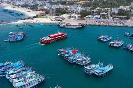 Đội tàu cá neo đậu tại cảng Phú Quý.