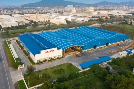 CADIVI: Dấu ấn thương hiệu quốc gia từ những sợi dây cáp xanh.