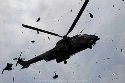 Ảnh minh họa. (Nguồn: TTXVN)