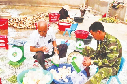 Sản phẩm măng lục trúc lâm sinh Ngọc Châu giúp người dân xã Ngọc Thiện thoát nghèo.