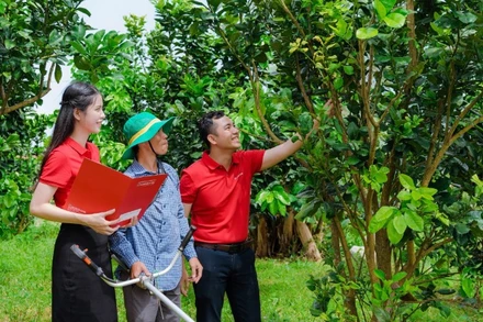 Agribank ưu tiên tài trợ cho các dự án nông nghiệp công nghệ cao, năng lượng tái tạo, trồng rừng và kinh tế tuần hoàn.