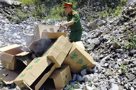 Công an xã Cán Tỷ, tỉnh Tuyên Quang tiêu hủy 10.000 quả trứng gà nhập lậu.