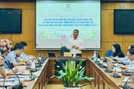 Thứ trưởng Tư pháp Nguyễn Thanh Tú chủ trì buổi làm việc.