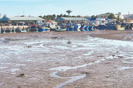 Cảng cá Phú Hài thường xuyên bị bồi lấp.