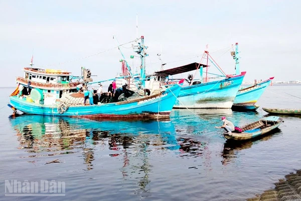 Tàu đánh bắt thủy sản neo đậu ở phường Rạch Giá, tỉnh An Giang.