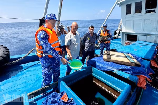 Lực lượng chức năng Bộ Tư lệnh Vùng Cảnh sát biển 4 kiểm tra hàng hóa trên tàu ĐT 93734 TS.